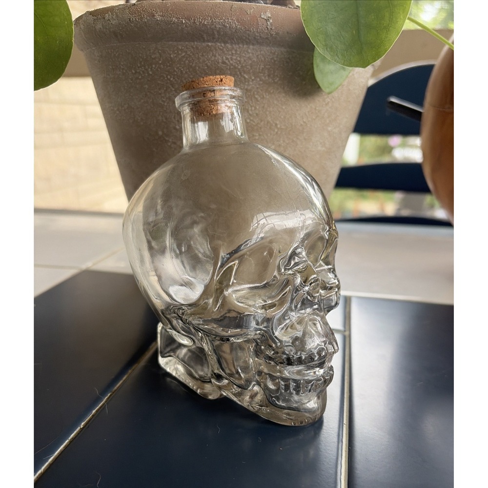 Skull Head Vodka Dan Ackroyd Glass Bottle 750ml Skeleton Liquor Empty (E10)